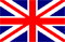 Switch to English Website