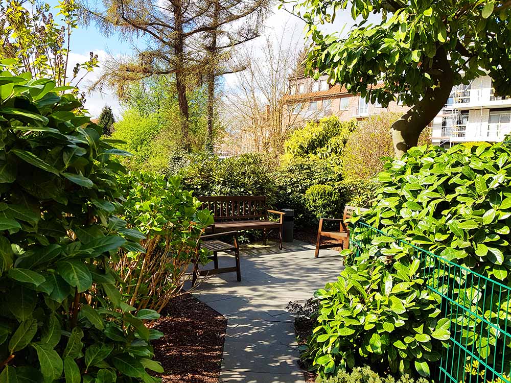 Soltaus Allee 6: Rhododendrons and cherry laurels
